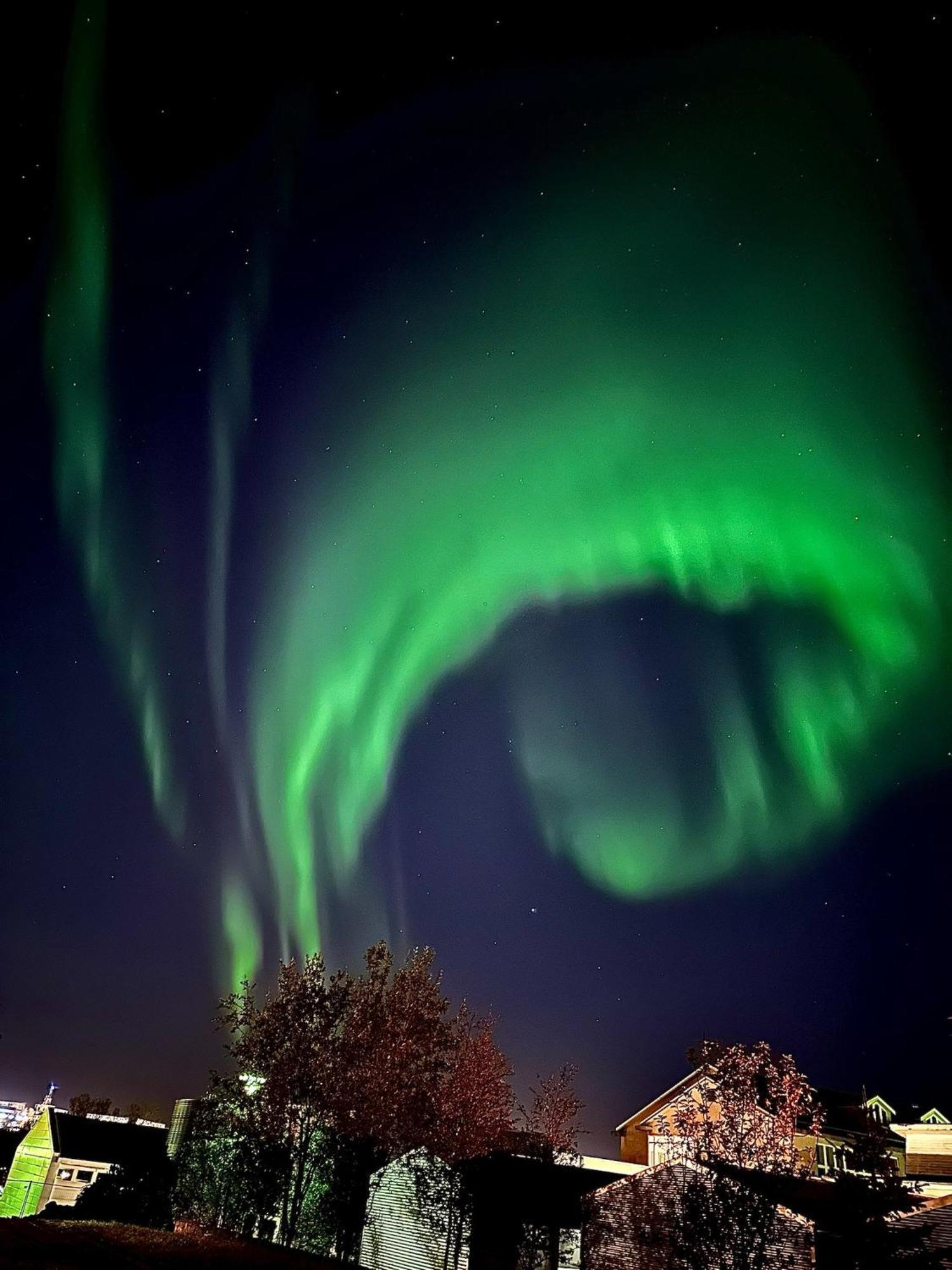 Casa Disa - Dreams, A Boutique Guesthouse In Reykjavik City'S Central Park And Botanical Garden In Laugardalur, Hot-Spring-Valley Eksteriør bilde