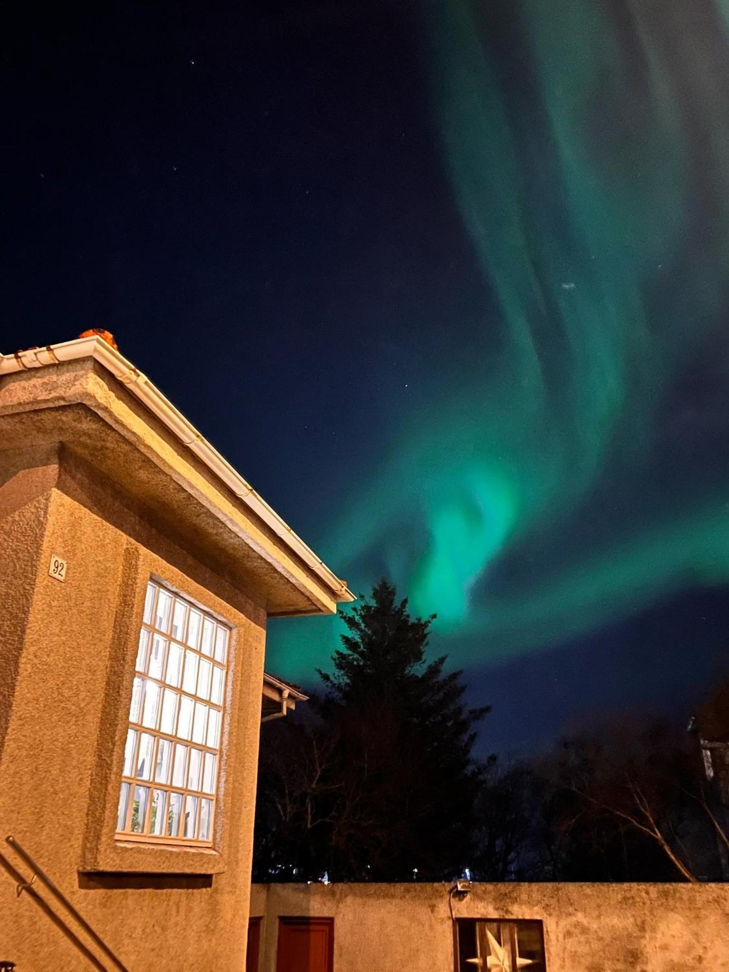 Casa Disa - Dreams, A Boutique Guesthouse In Reykjavik City'S Central Park And Botanical Garden In Laugardalur, Hot-Spring-Valley Eksteriør bilde